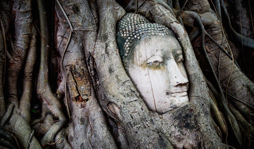buddha-kopf-thailand