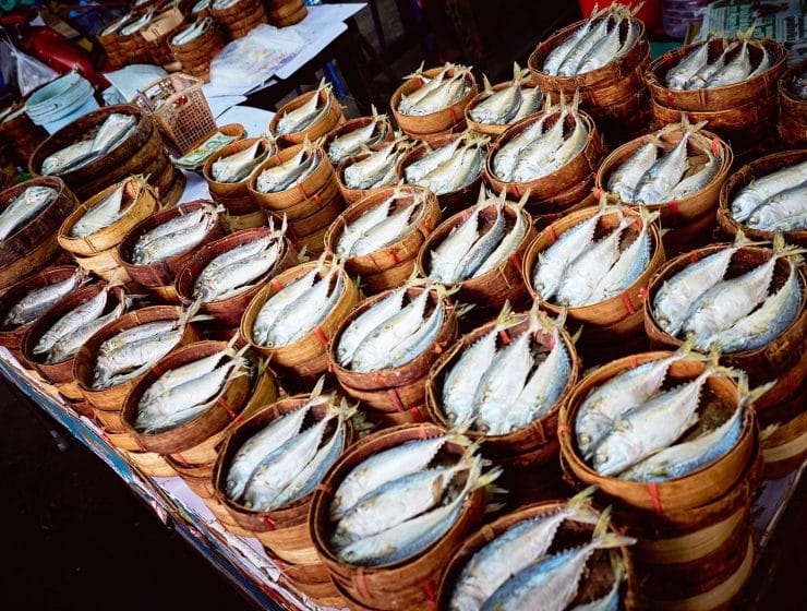 fisch-chiang-mai-thailand
