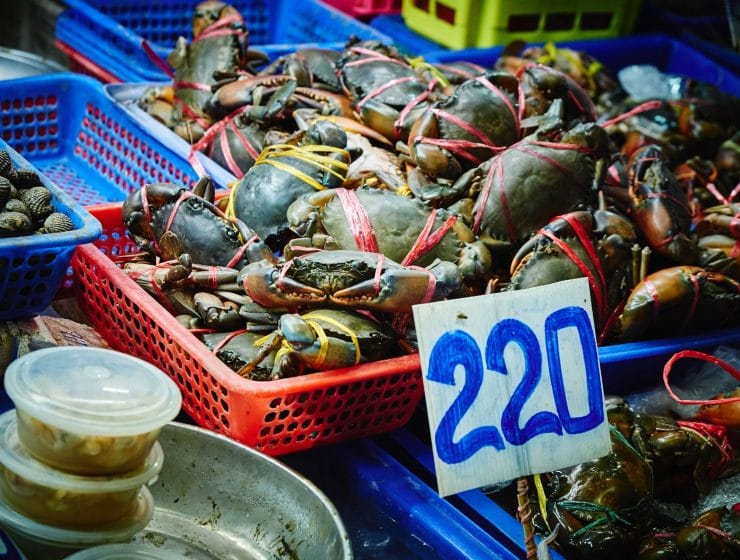 krabben-chiang-rai-thailand