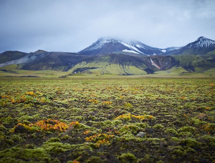 Blick auf den Vulkan Hekla