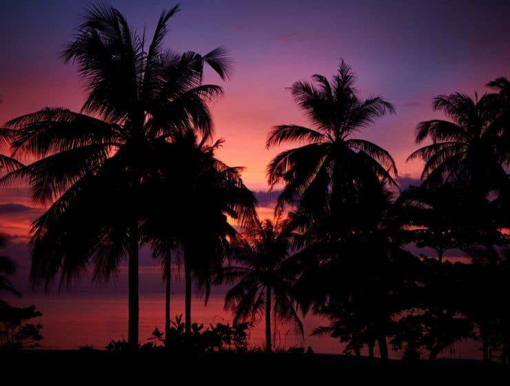 meer-sonnenuntergang-palmen-phu-quoc-vietnam