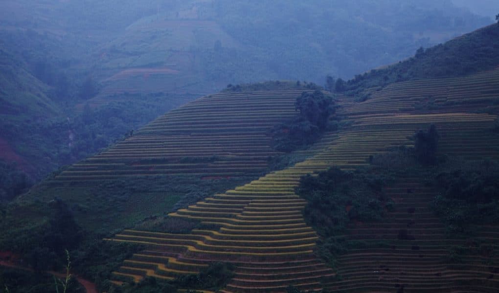 reisterrassen-sapa-vietnam-2