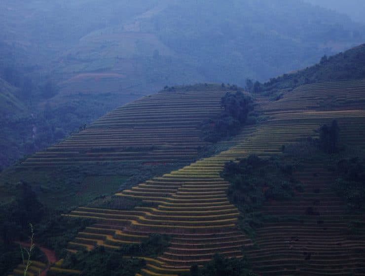 reisterrassen-sapa-vietnam-2